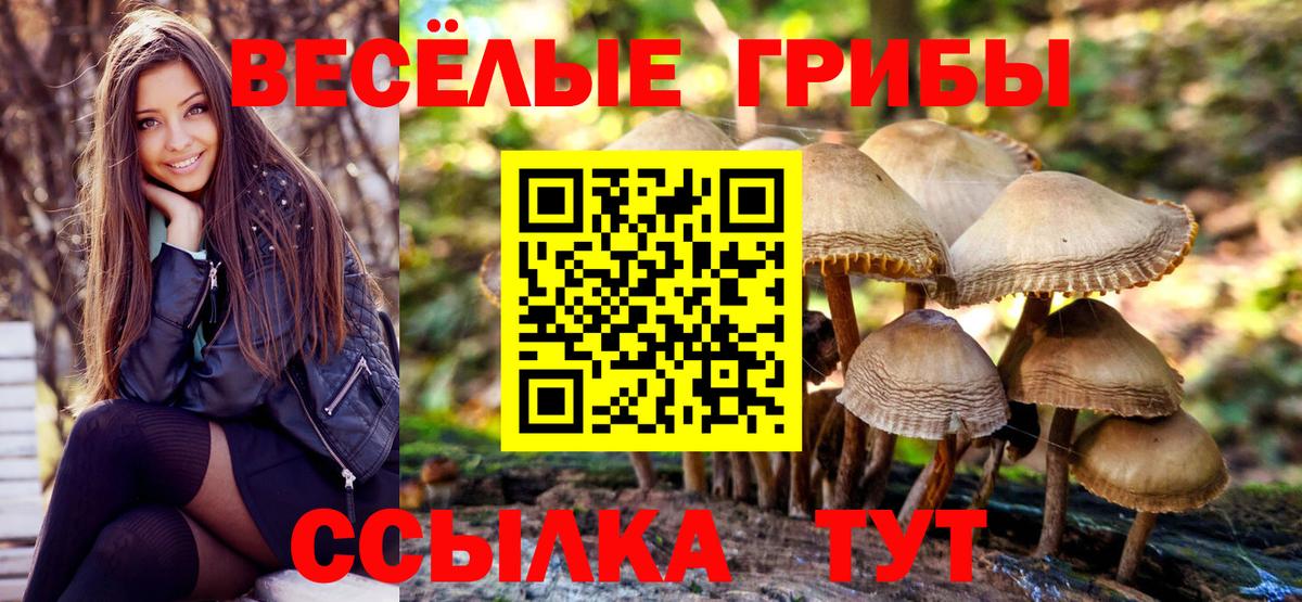 Псилоцибиновые грибы мухоморы Октябрьский